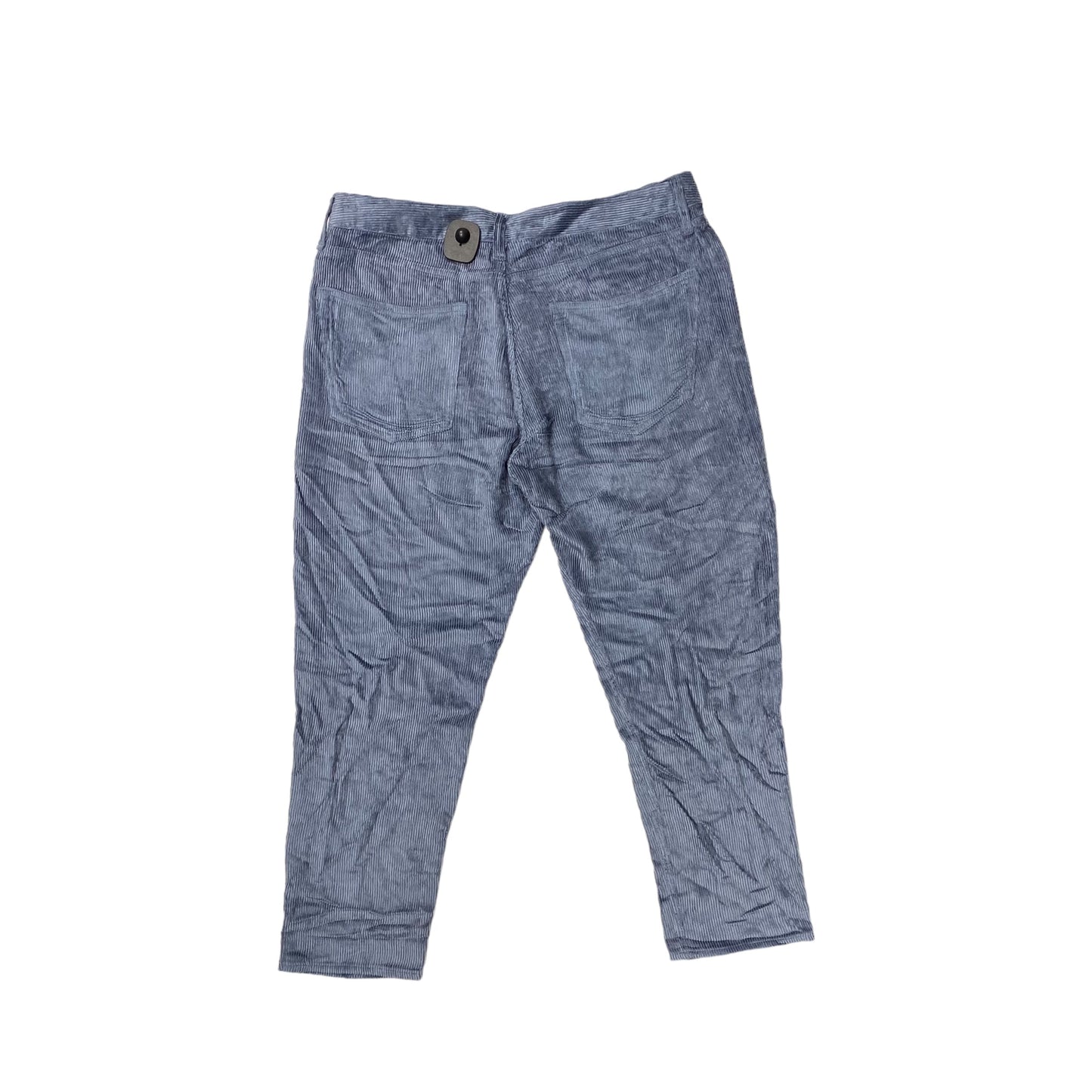 Pants Designer By Rag And Bone  Size: 12