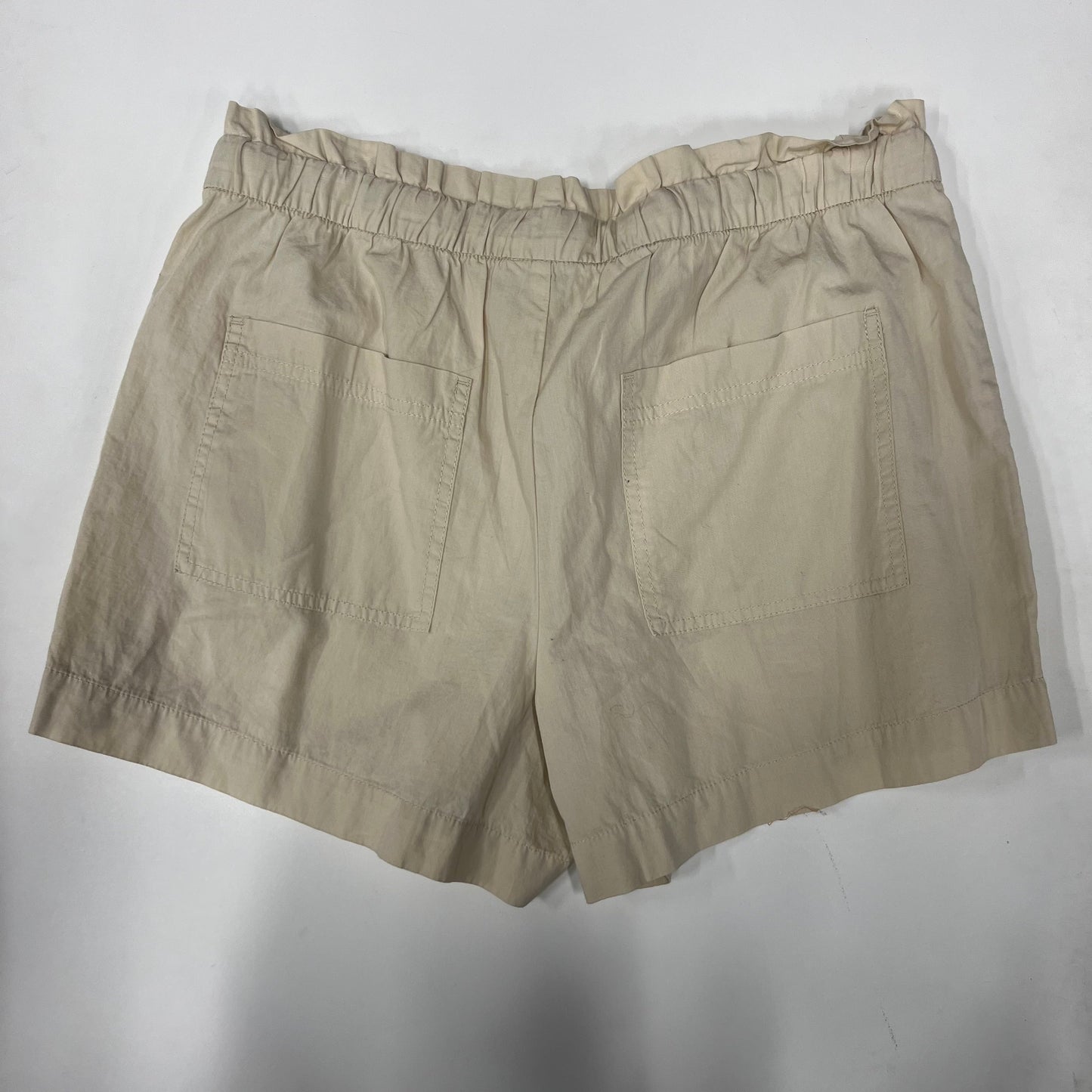 Shorts By Loft  Size: M