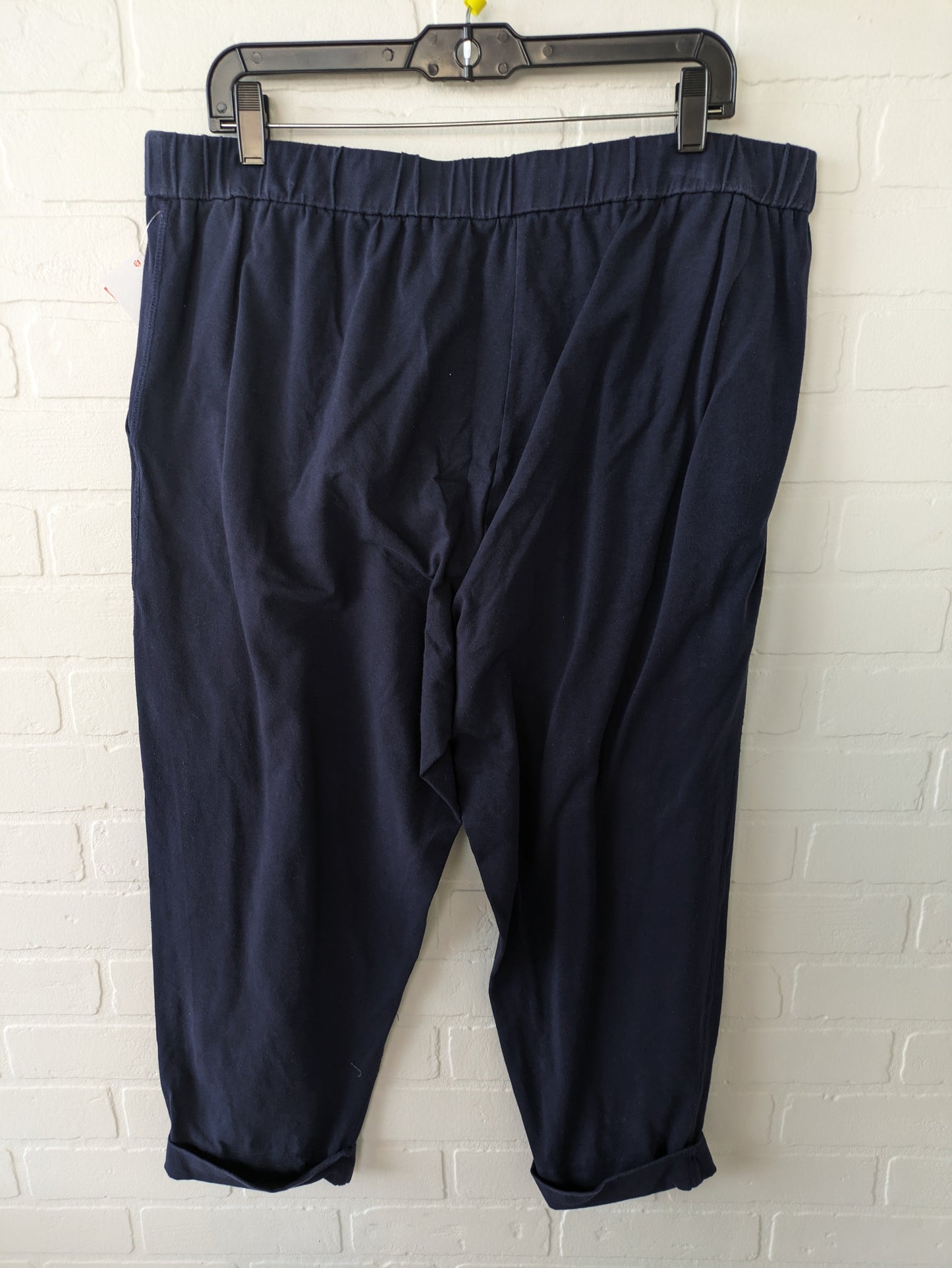 Capris By Eileen Fisher  Size: 12