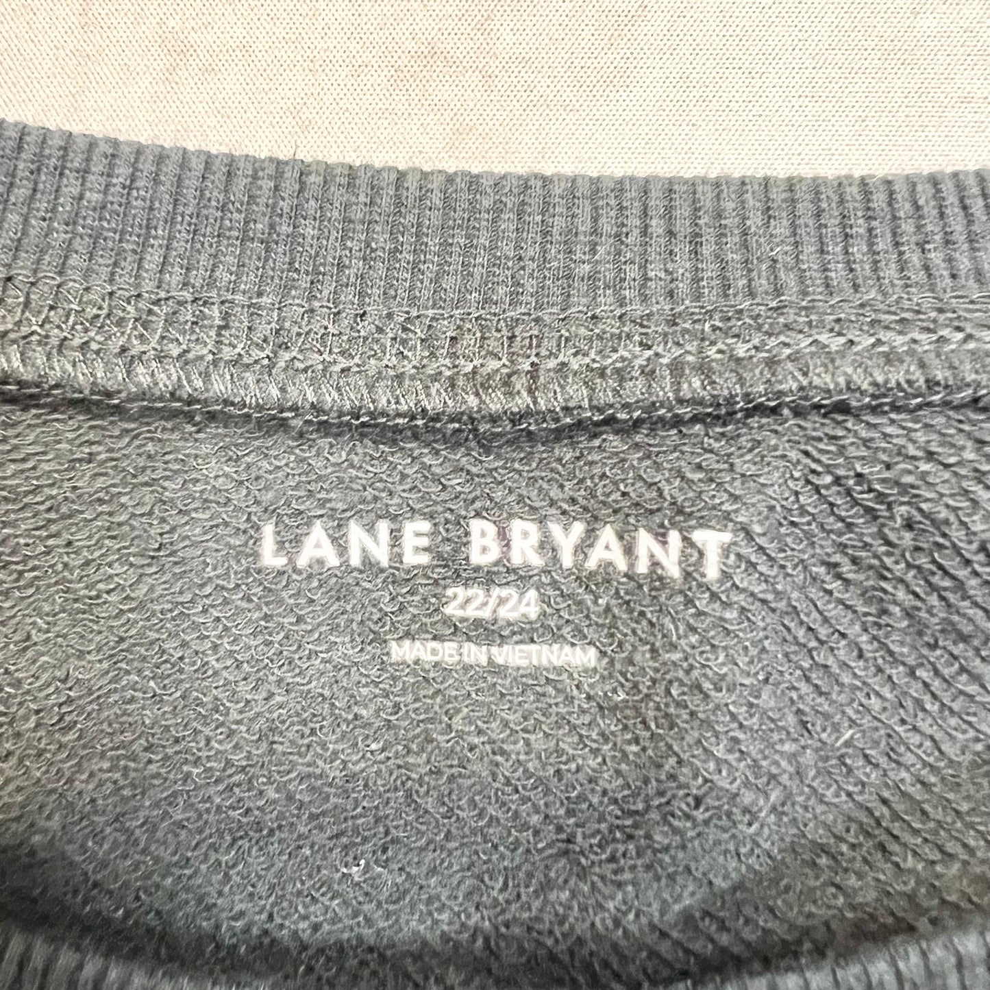 Sweatshirt Crewneck By Lane Bryant  Size: 3x